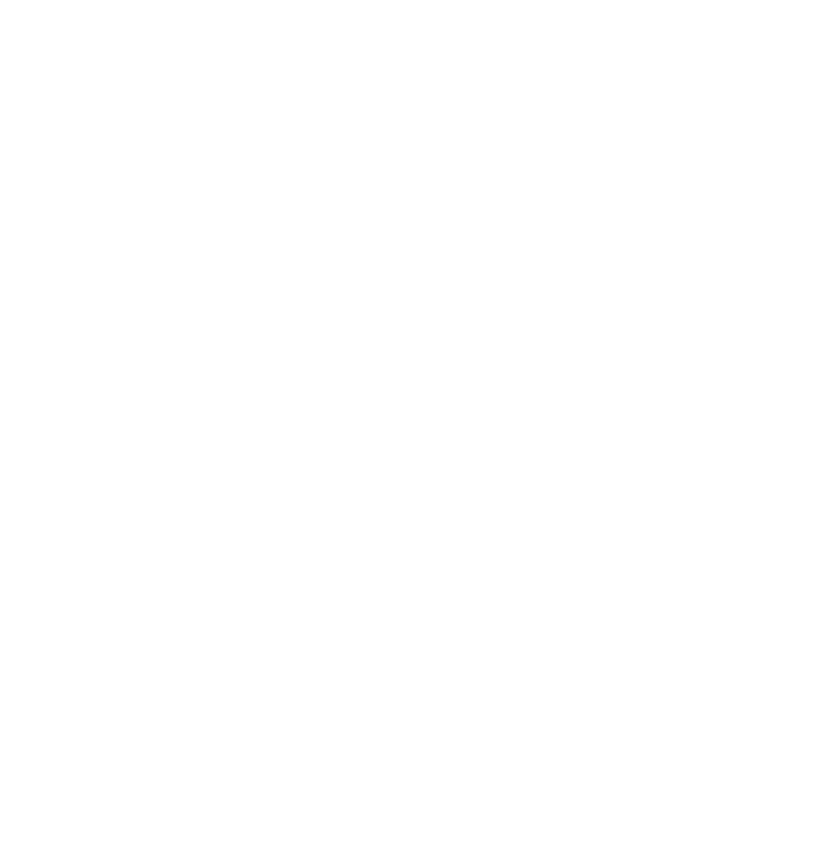 The Guide